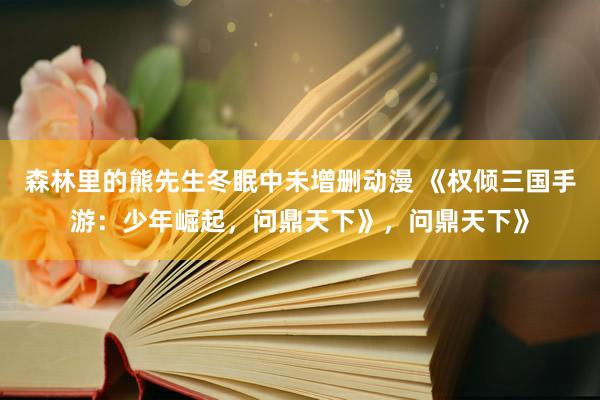 森林里的熊先生冬眠中未增删动漫 《权倾三国手游：少年崛起，问鼎天下》，问鼎天下》