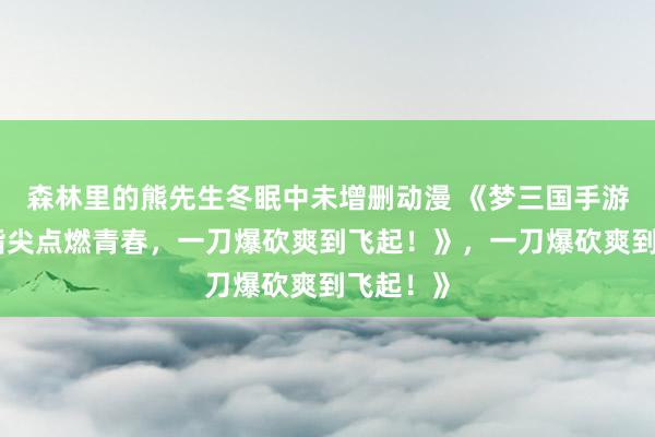 森林里的熊先生冬眠中未增删动漫 《梦三国手游视频：指尖点燃青春，一刀爆砍爽到飞起！》，一刀爆砍爽到飞起！》