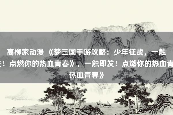 高柳家动漫 《梦三国手游攻略：少年征战，一触即发！点燃你的热血青春》，一触即发！点燃你的热血青春》