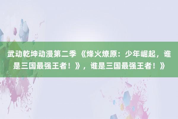 武动乾坤动漫第二季 《烽火燎原：少年崛起，谁是三国最强王者！》，谁是三国最强王者！》