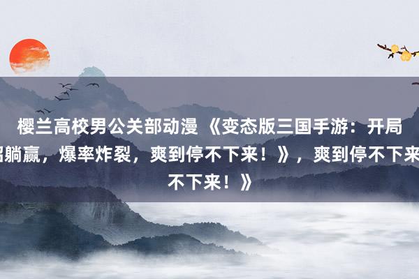 樱兰高校男公关部动漫 《变态版三国手游：开局一招躺赢，爆率炸裂，爽到停不下来！》，爽到停不下来！》