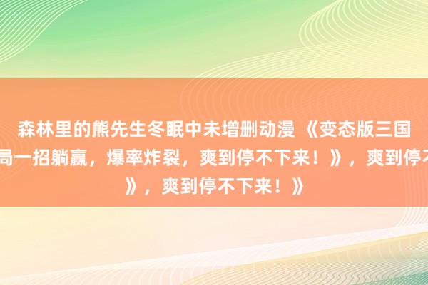 森林里的熊先生冬眠中未增删动漫 《变态版三国手游：开局一招躺赢，爆率炸裂，爽到停不下来！》，爽到停不下来！》