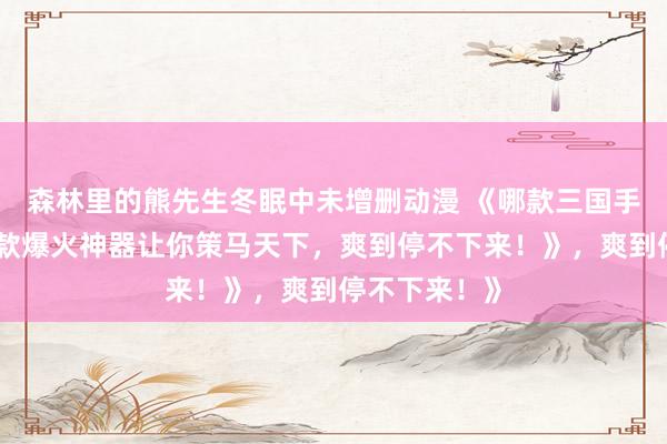 森林里的熊先生冬眠中未增删动漫 《哪款三国手游好玩？这款爆火神器让你策马天下，爽到停不下来！》，爽到停不下来！》