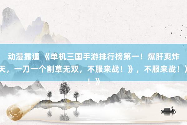 动漫靠逼 《单机三国手游排行榜第一！爆肝爽炸天，一刀一个割草无双，不服来战！》，不服来战！》