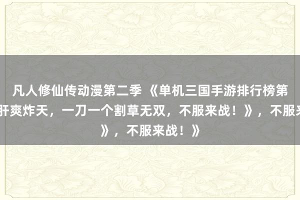 凡人修仙传动漫第二季 《单机三国手游排行榜第一！爆肝爽炸天，一刀一个割草无双，不服来战！》，不服来战！》