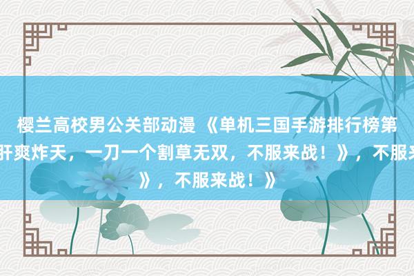 樱兰高校男公关部动漫 《单机三国手游排行榜第一！爆肝爽炸天，一刀一个割草无双，不服来战！》，不服来战！》
