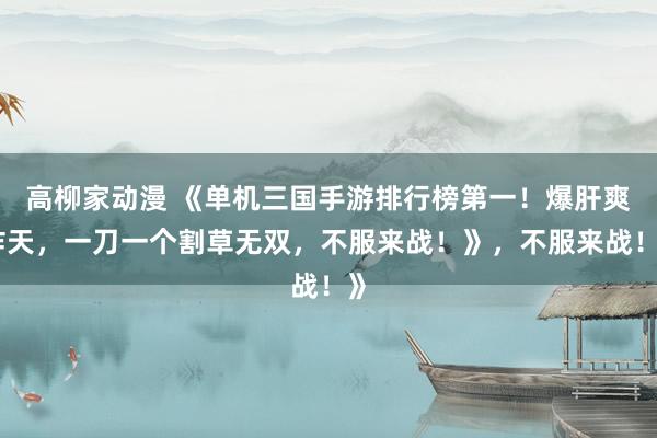 高柳家动漫 《单机三国手游排行榜第一！爆肝爽炸天，一刀一个割草无双，不服来战！》，不服来战！》