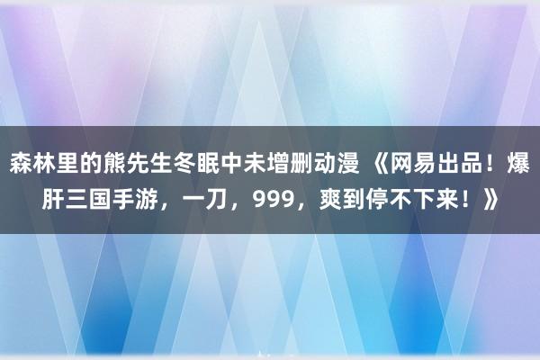 森林里的熊先生冬眠中未增删动漫 《网易出品！爆肝三国手游，一刀，999，爽到停不下来！》
