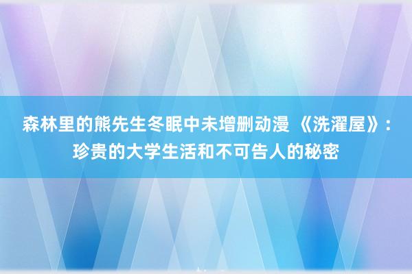 森林里的熊先生冬眠中未增删动漫 《洗濯屋》：珍贵的大学生活和不可告人的秘密